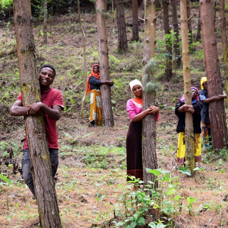 Forest Ambassador Tree Pouch, We Plant 200 More Trees