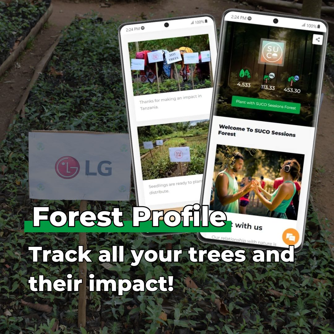 Gift Us a Forest – 200 Trees to Celebrate Our Love – “Swan Love”